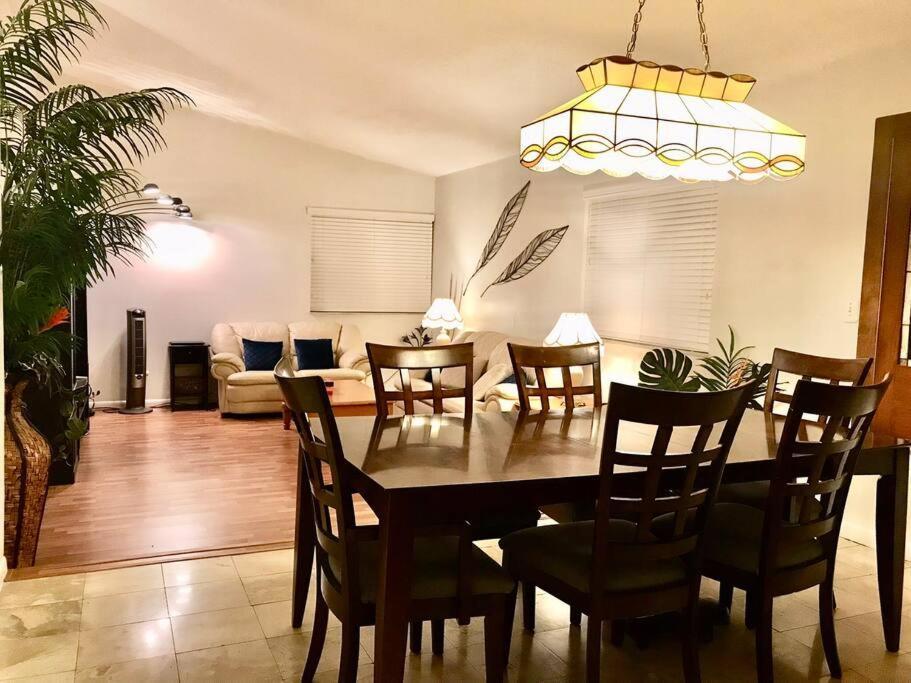 Willa Pool House In Tropical Miami Zewnętrze zdjęcie